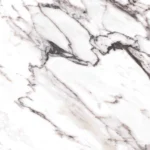 CAPRAIA 60X120 FACE 4